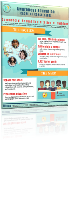CSEC Prog High